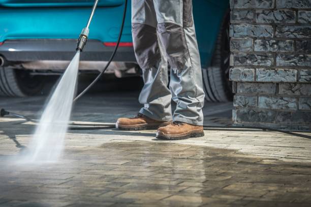 Best Patio and Deck Pressure Washing  in Romulus, MI