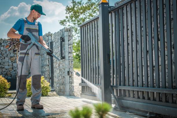 Best Dumpster Area Cleaning  in Romulus, MI