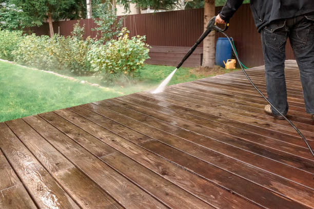 Best Soft Washing  in Romulus, MI
