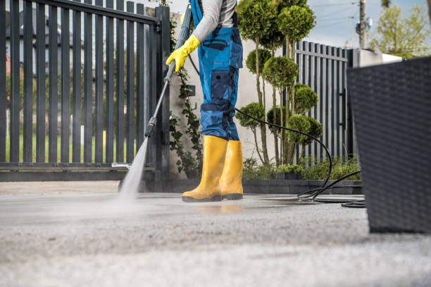 Best Spring Cleaning  in Romulus, MI