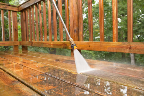 Best Restaurant Pressure Washing  in Romulus, MI